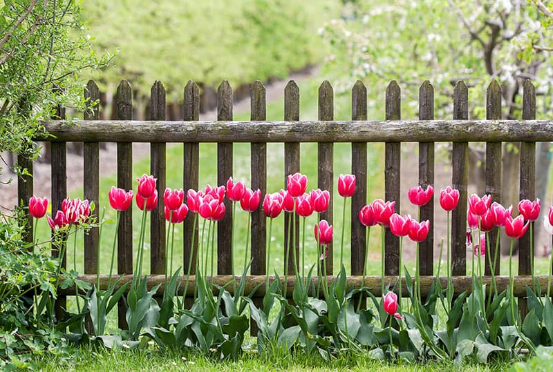  A Fence with Enough Spacing