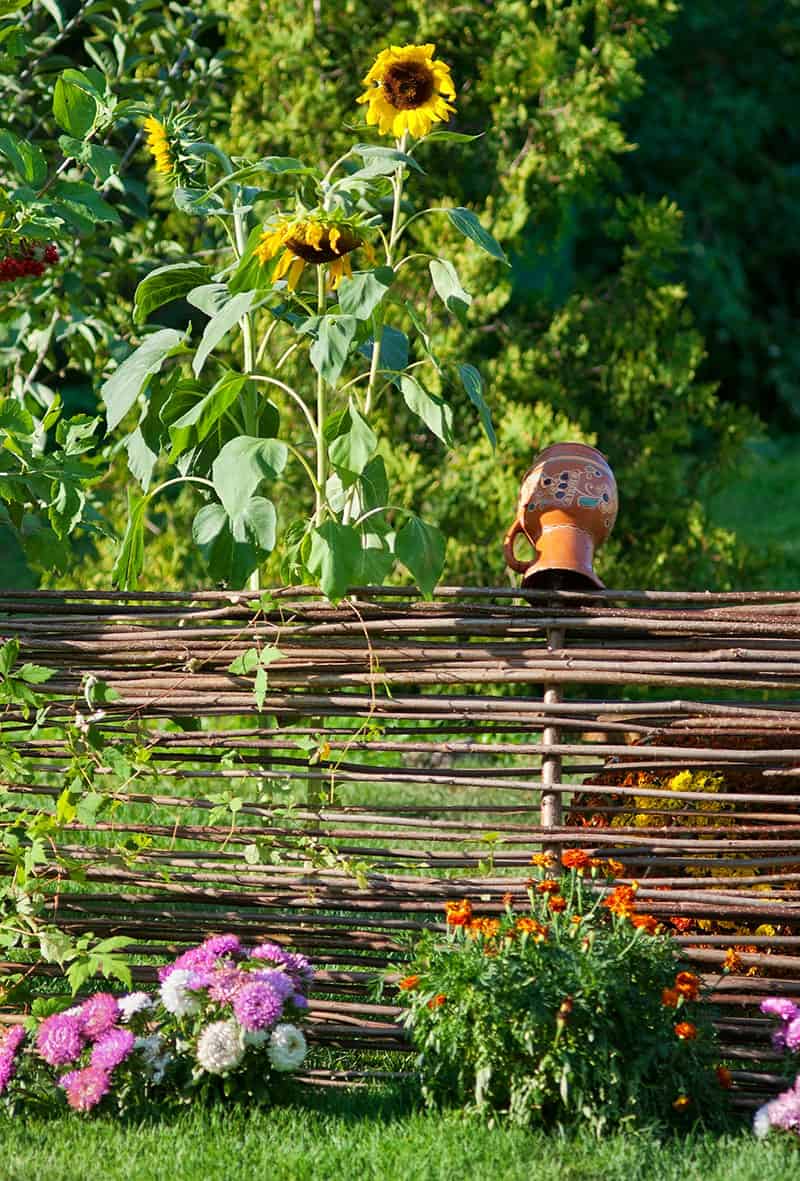  A Weaving Wattle Fence