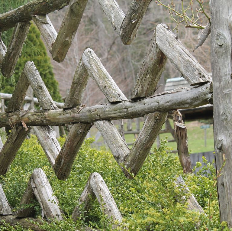  Patterned Wooden Fence