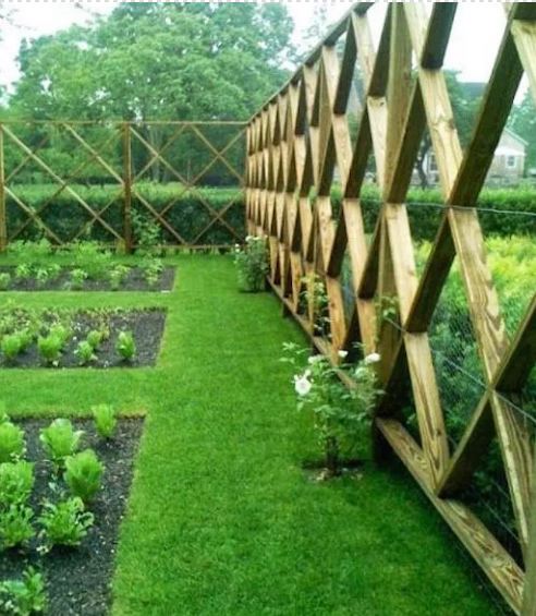  Geometric Garden Fence